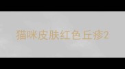 猫咪皮肤红色丘疹