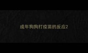 成年狗狗打疫苗的反应