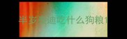 半岁泰迪吃什么狗粮