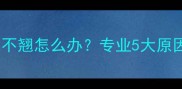 边牧幼犬尾巴不翘怎么办专业5大原因及纠正方法