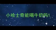 小哈士奇能喝牛奶吗