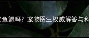拉布拉多能吃鱼鳃吗宠物医生权威解答与科学喂养指南