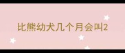 比熊幼犬几个月会叫