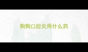 狗狗口腔炎用什么药