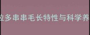 金毛拉布拉多串串毛长特性与科学养护指南1