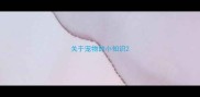 关于宠物的小知识