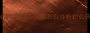 狗狗打喷嚏流鼻涕怎么办吃什么药