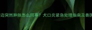 狗狗嘴边突然肿胀怎么回事犬口炎紧急处理指南及兽医建议