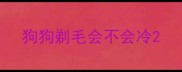 狗狗剃毛会不会冷