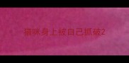 猫咪身上被自己抓破