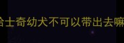 哈士奇幼犬不可以带出去嘛