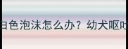 两个月大狗狗吐白色泡沫怎么办幼犬呕吐紧急处理全指南
