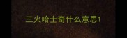 三火哈士奇什么意思