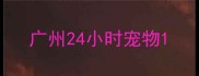 广州24小时宠物