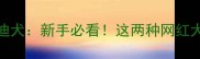 比熊犬VS泰迪犬新手必看这两种网红犬到底怎么选