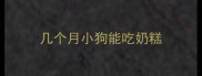 几个月小狗能吃奶糕