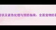 小狗中暑症状及紧急处理与预防指南全面宠物防暑降温技巧