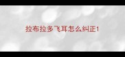 拉布拉多飞耳怎么纠正