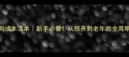宠物店养狗成本清单新手必看从领养到老年的全周期预算攻略