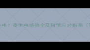 边牧怀孕期频繁拉小虫寄生虫感染全及科学应对指南附检查与驱虫方案