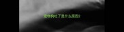 宠物狗吐了是什么原因