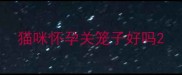 猫咪怀孕关笼子好吗