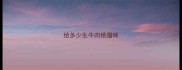 给多少生牛肉给猫咪