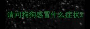 请问狗狗感冒什么症状