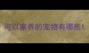 可以家养的宠物有哪些