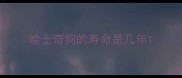 哈士奇狗的寿命是几年