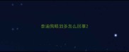 泰迪狗眼泪多怎么回事