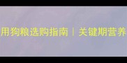 四个月阿拉斯加幼犬专用狗粮选购指南关键期营养怎么补附防坑干货