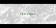 不要买什么样的边牧