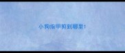 小狗指甲剪到哪里