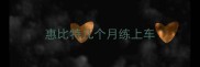 惠比特几个月练上车