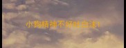 小狗精神不好吐白沫