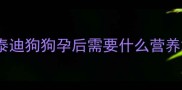 泰迪狗狗孕后需要什么营养
