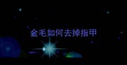 金毛如何去掉指甲