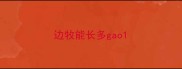 边牧能长多gao