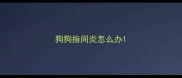 狗狗指间炎怎么办