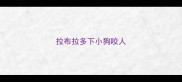 拉布拉多下小狗咬人