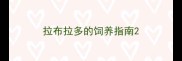 拉布拉多的饲养指南