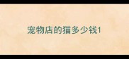 宠物店的猫多少钱