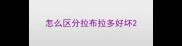 怎么区分拉布拉多好坏