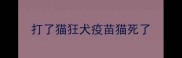 打了猫狂犬疫苗猫死了
