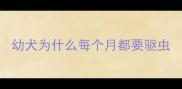 幼犬为什么每个月都要驱虫