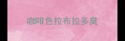 咖啡色拉布拉多臭