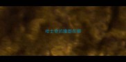 哈士奇的腹部在哪