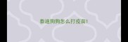 泰迪狗狗怎么打疫苗