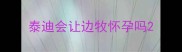 泰迪会让边牧怀孕吗